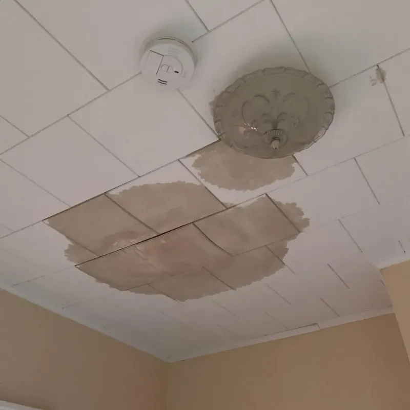 Ceiling Water Damage Repair in Melrose Park, NY