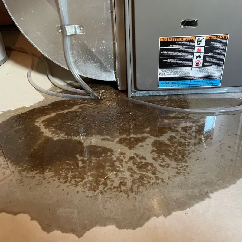 Pipe Burst and Leak Restoration in Melrose Park, NY